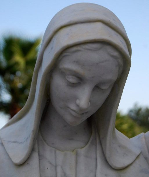 Mary Resize Crop